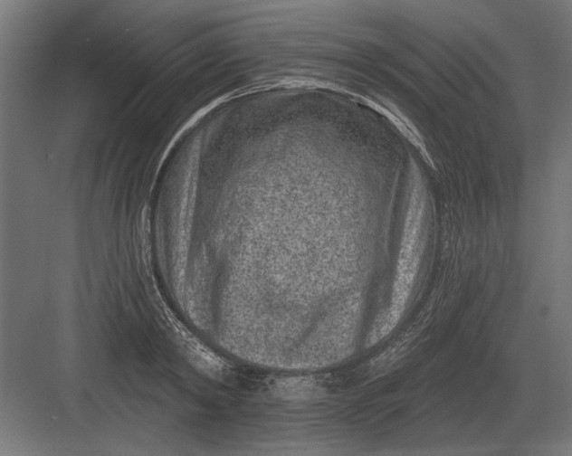 X0000082930798200702152146