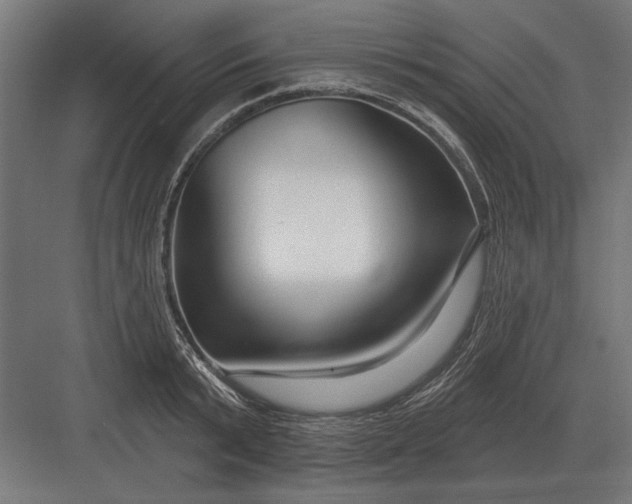 X0000082930799200702152146