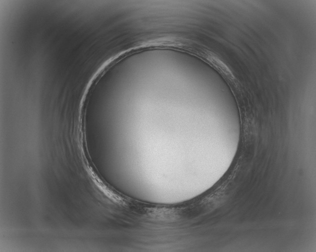 X0000082930800200702152146