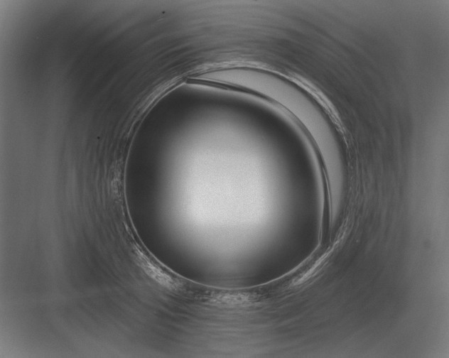 X0000082930801200702152146