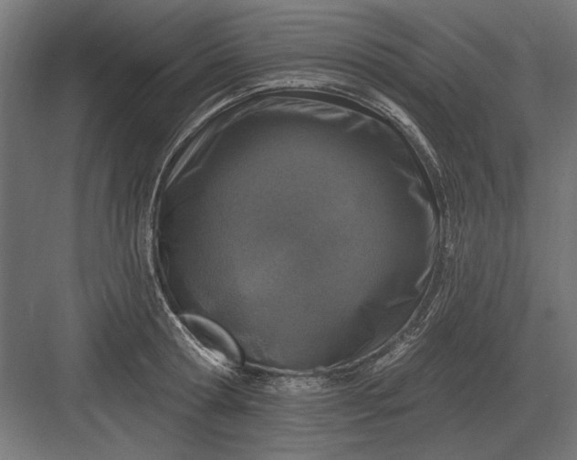 X0000082930802200702152146