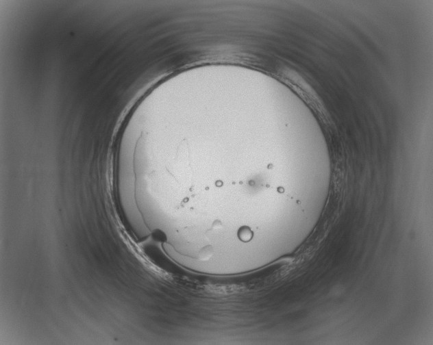 X0000082930804200702152146