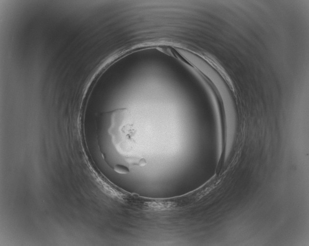 X0000082930805200702152146