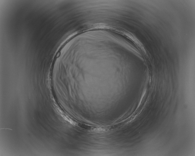 X0000082930806200702152146