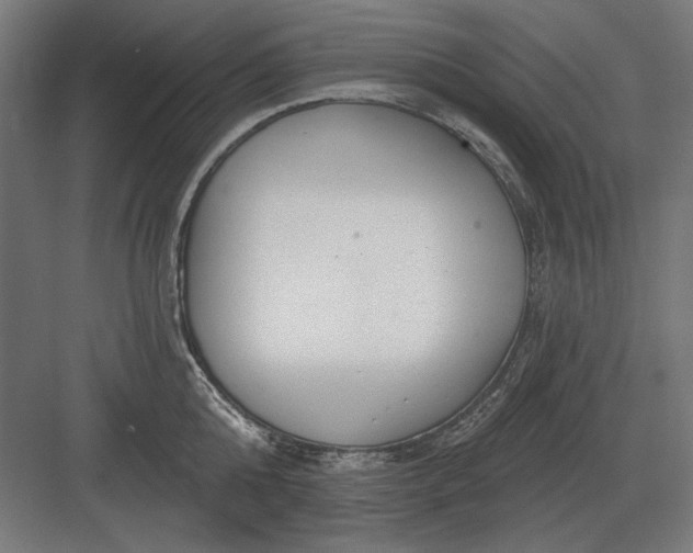 X0000082930808200702152146