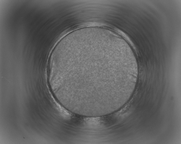 X0000082930810200702152146