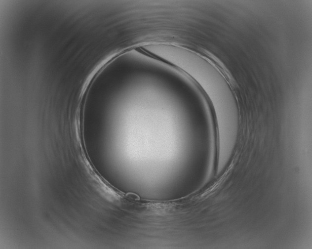 X0000082930812200702152146