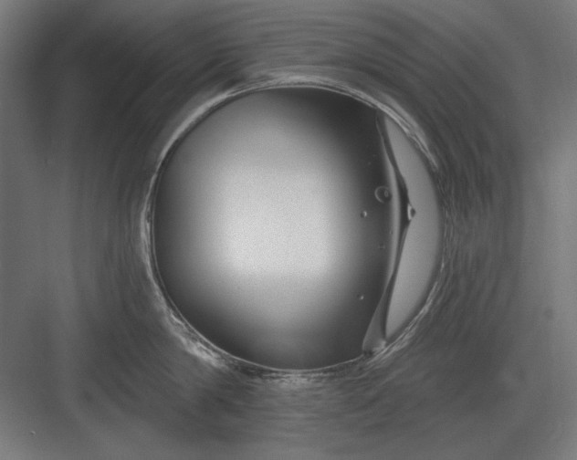 X0000082930814200702152146