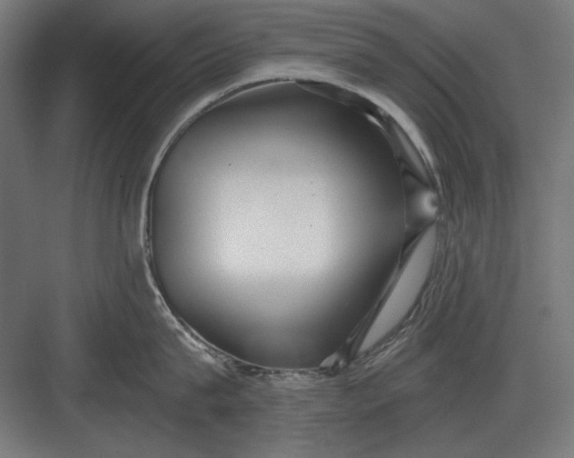 X0000082930815200702152146