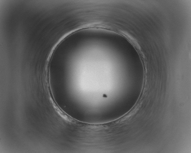 X0000082930816200702152146