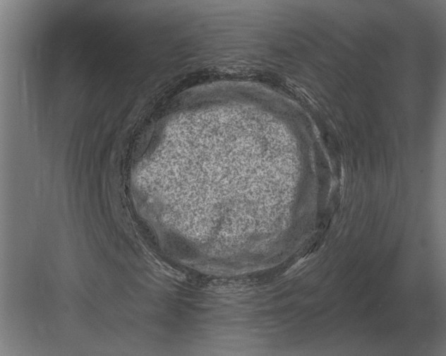 X0000082930817200702152145