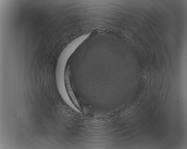 X0000082930818200702152145