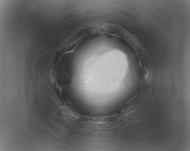 X0000082930819200702152145