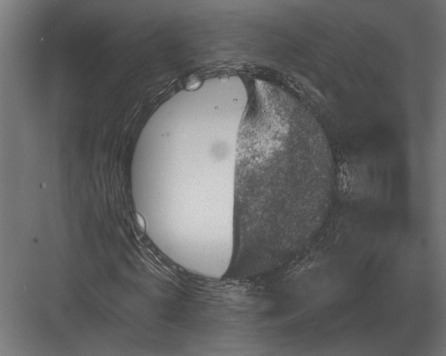 X0000082930820200702152145