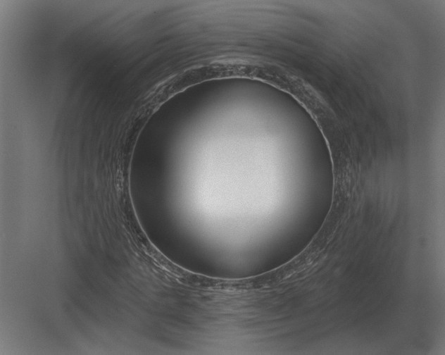 X0000082930821200702152145