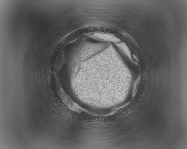 X0000082930822200702152145