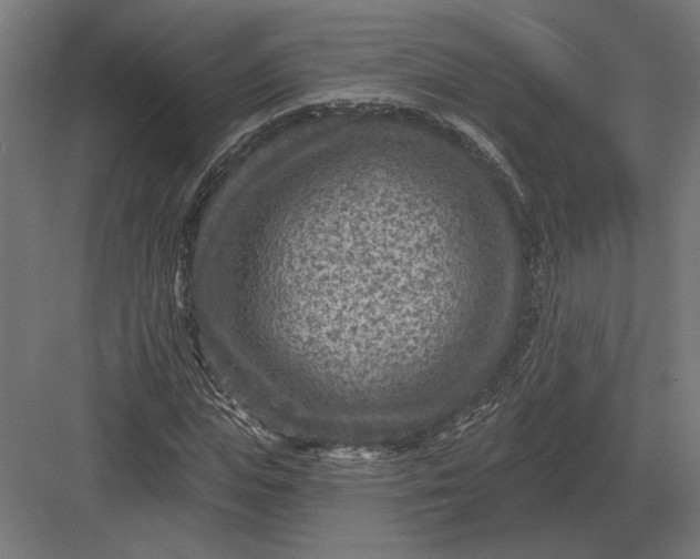 X0000082930823200702152145