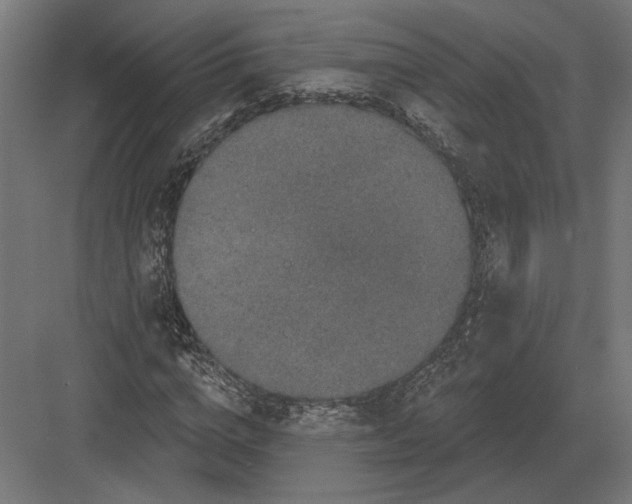 X0000082930824200702152145