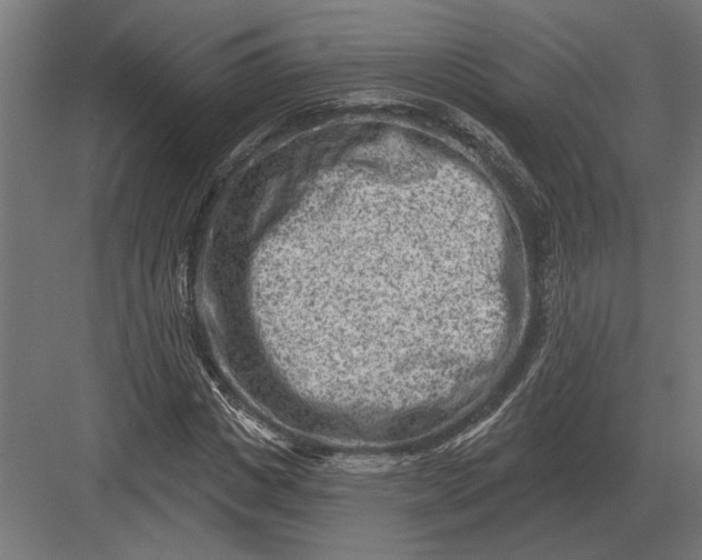 X0000082930825200702152145