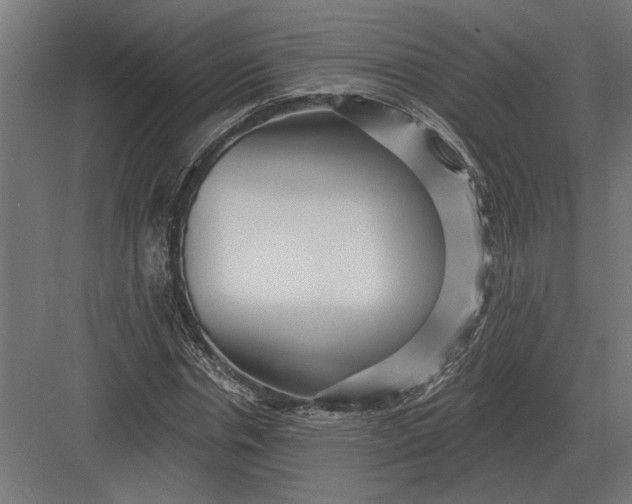 X0000082930826200702152145