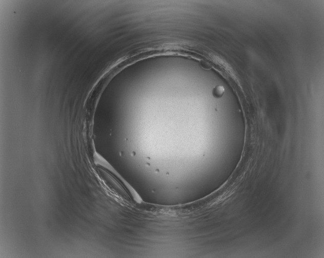 X0000082930827200702152145