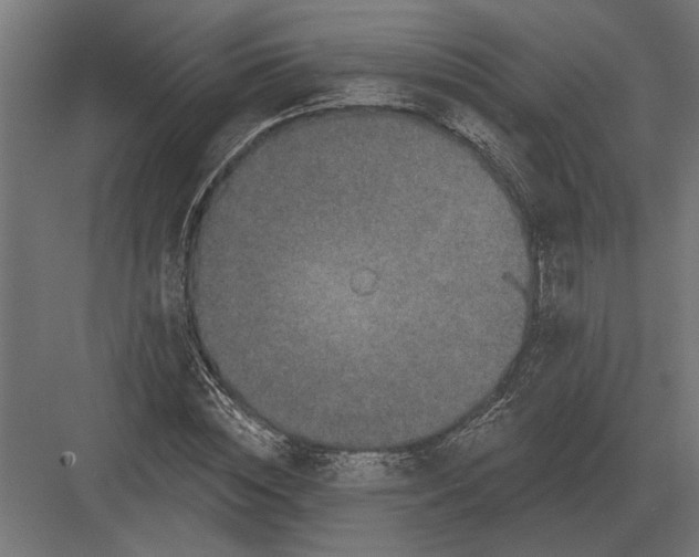 X0000082930828200702152145