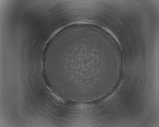 X0000082930829200702152145