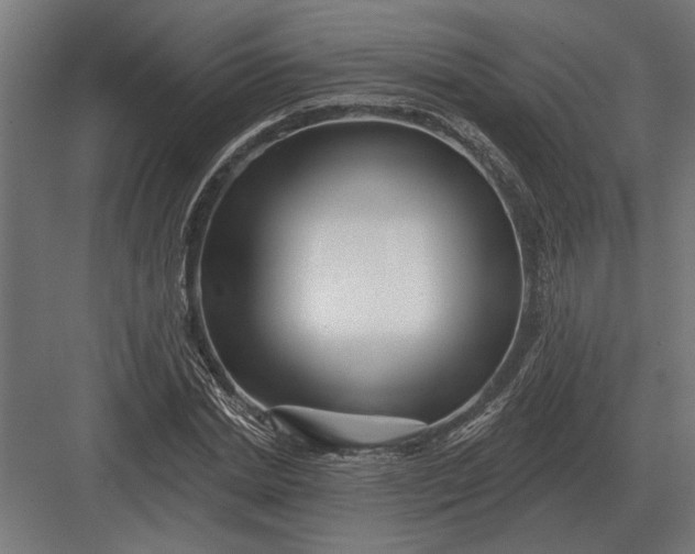 X0000082930830200702152145