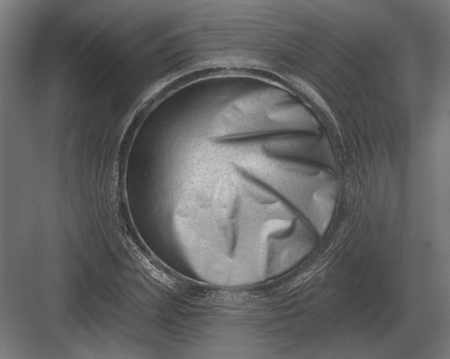 X0000082930831200702152145