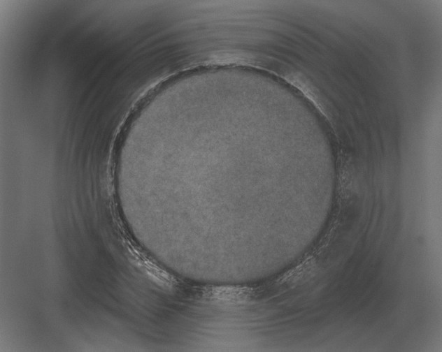 X0000082930832200702152145