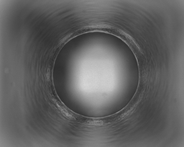 X0000082930833200702152145