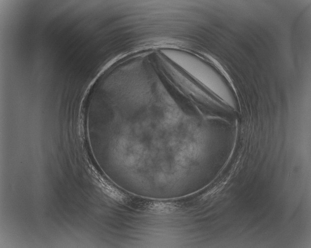 X0000082930835200702152145