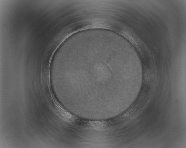 X0000082930836200702152145