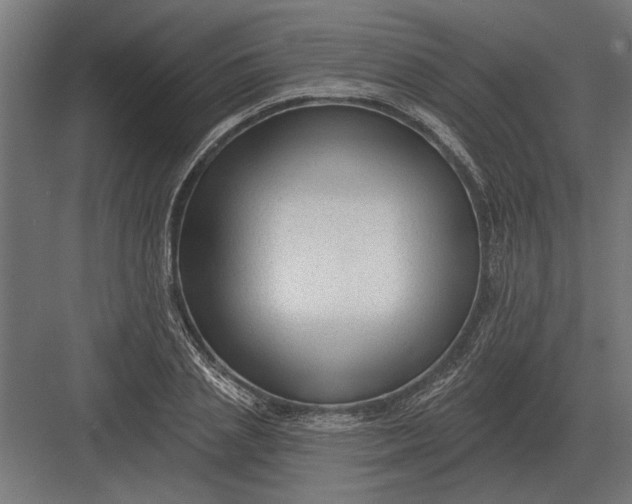 X0000082930837200702152145