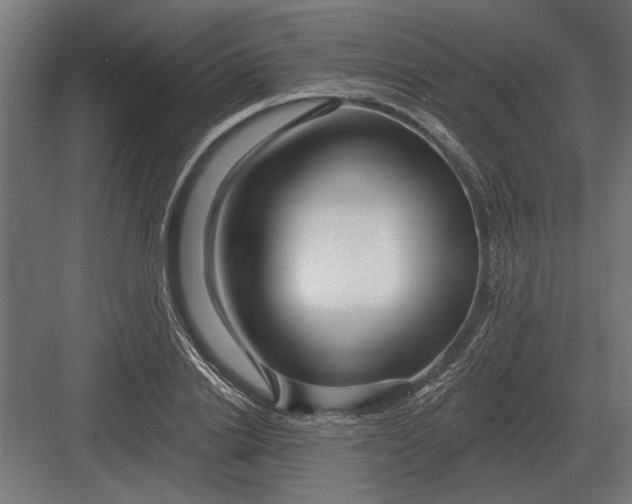 X0000082930838200702152145