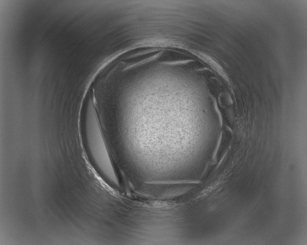 X0000082930839200702152145