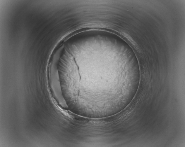 X0000082930840200702152145