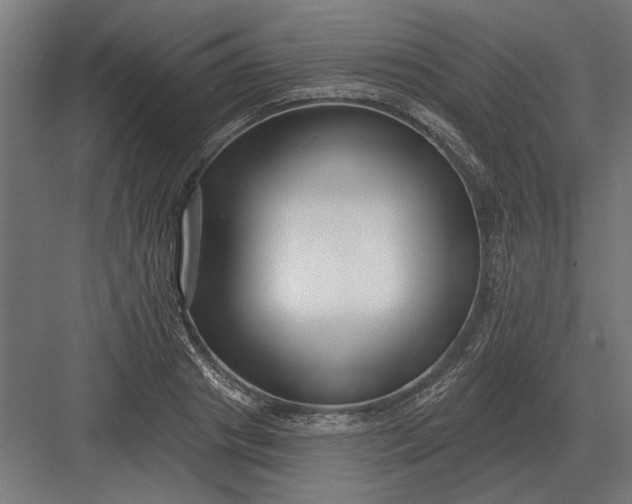 X0000082930841200702152145