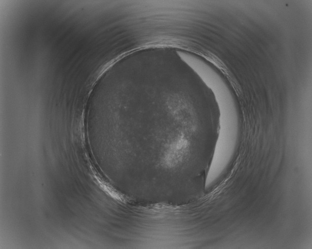 X0000082930842200702152145