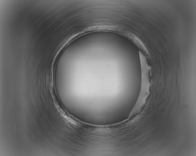 X0000082930844200702152145