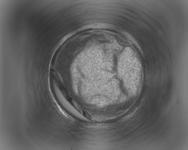 X0000082930845200702152145