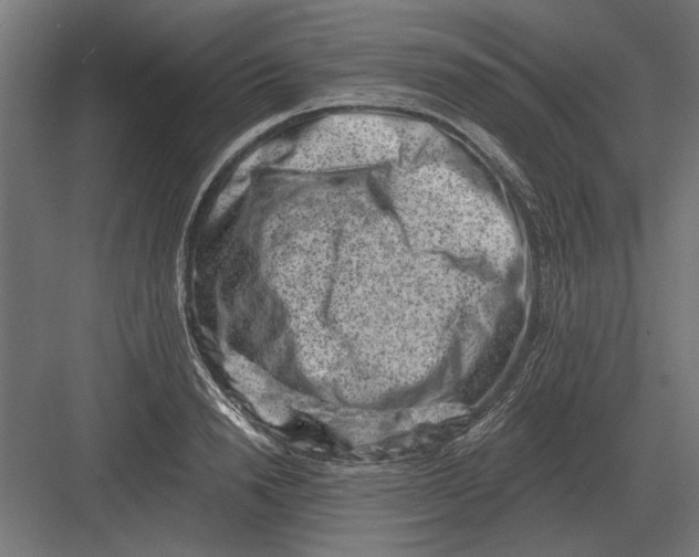 X0000082930846200702152145