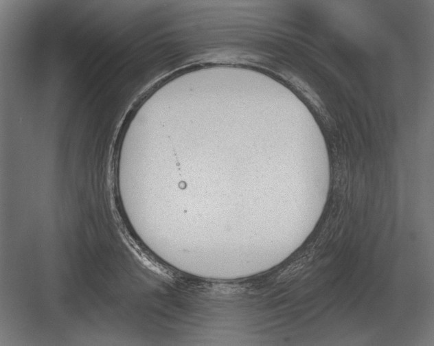 X0000082930848200702152145