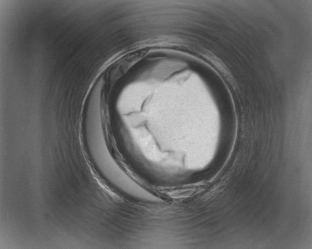 X0000082930850200702152145