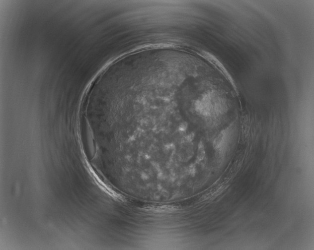 X0000082930851200702152145