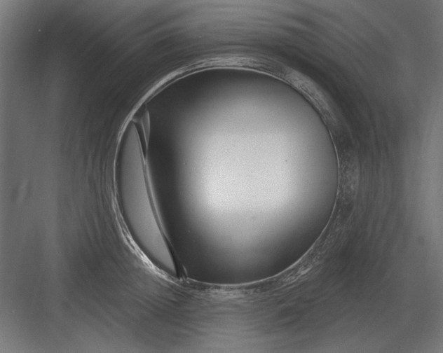 X0000082930852200702152145