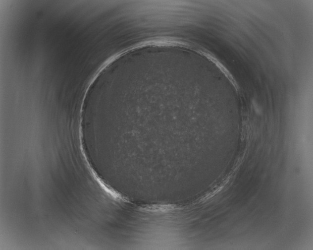 X0000082930853200702152145