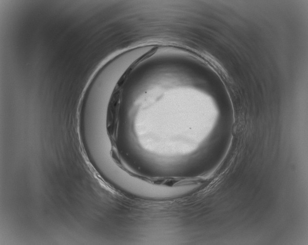 X0000082930854200702152145