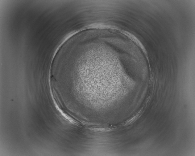 X0000082930855200702152145