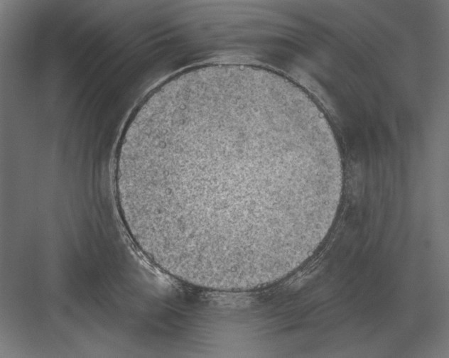 X0000082930856200702152145